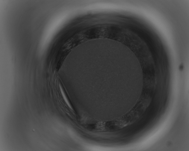 X0000093450766200710191102