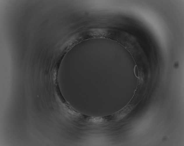 X0000093450767200710191102