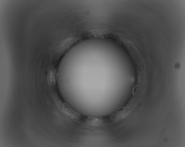 X0000093450768200710191102