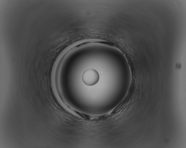 X0000093450769200710191102