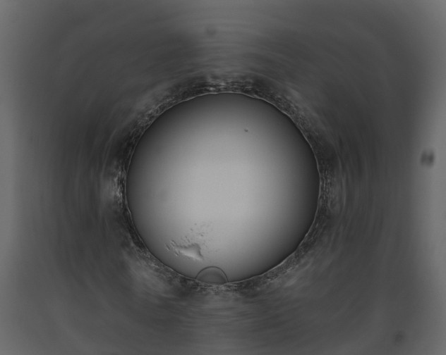 X0000093450770200710191102