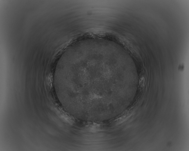 X0000093450772200710191102