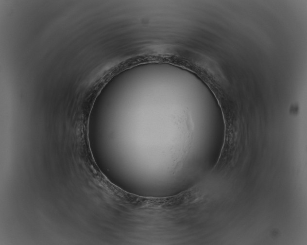 X0000093450773200710191102