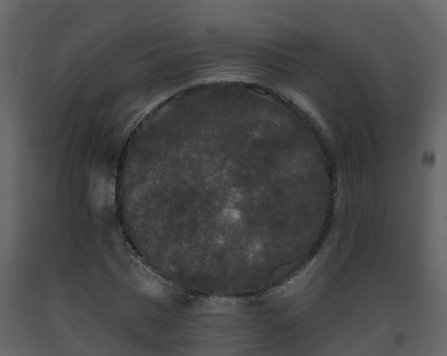 X0000093450777200710191102