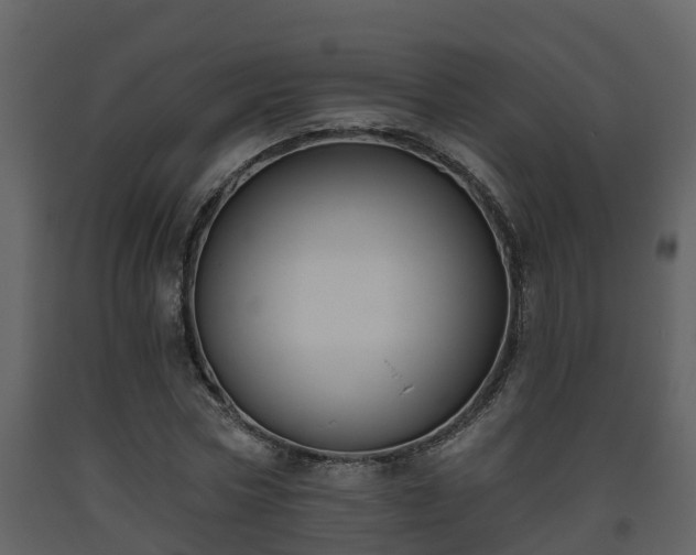 X0000093450778200710191102