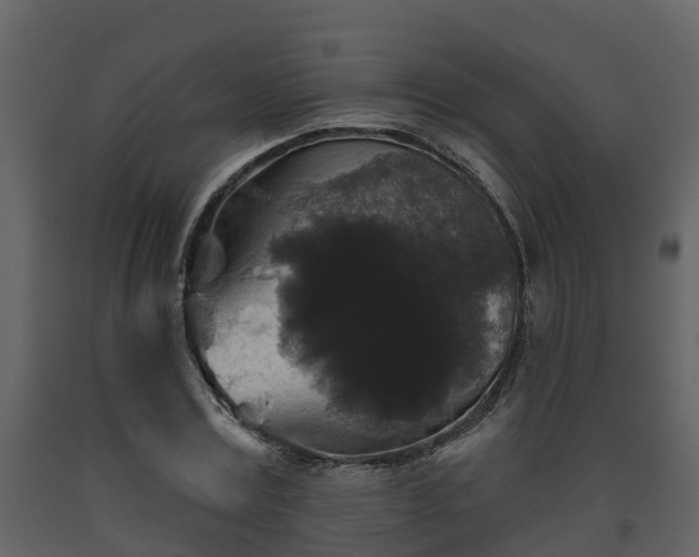 X0000093450779200710191102