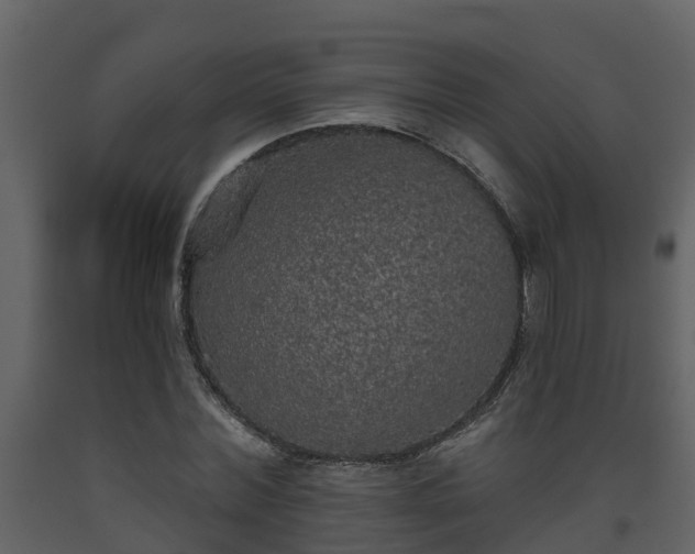 X0000093450780200710191102