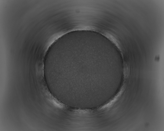 X0000093450781200710191102