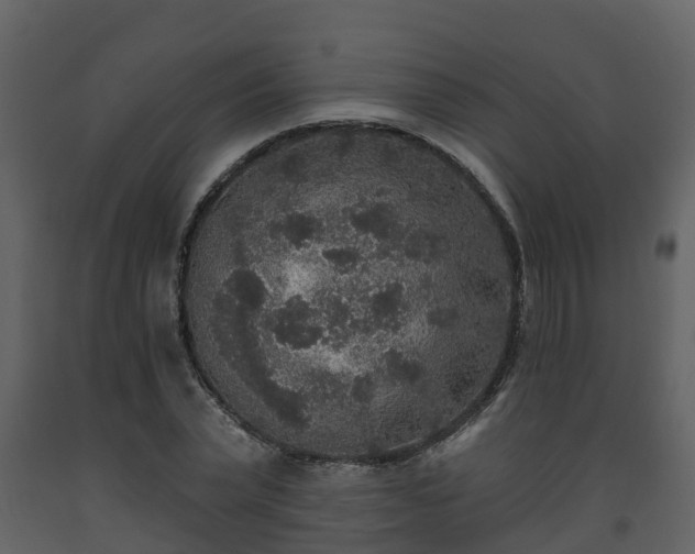 X0000093450783200710191102