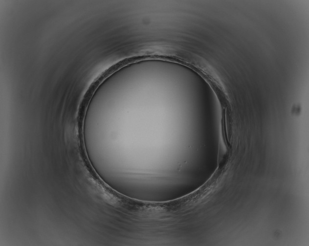 X0000093450784200710191102