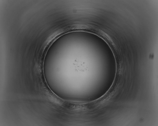 X0000093450786200710191101