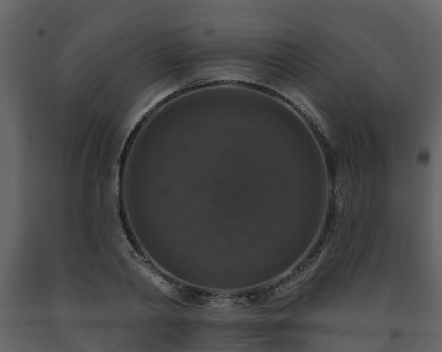 X0000093450790200710191101