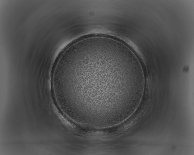 X0000093450791200710191101