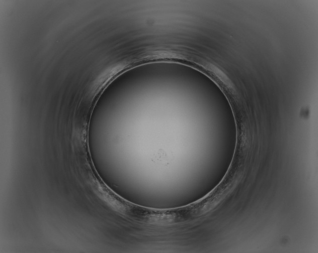 X0000093450793200710191101