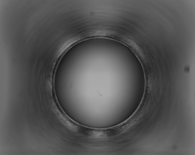 X0000093450794200710191101