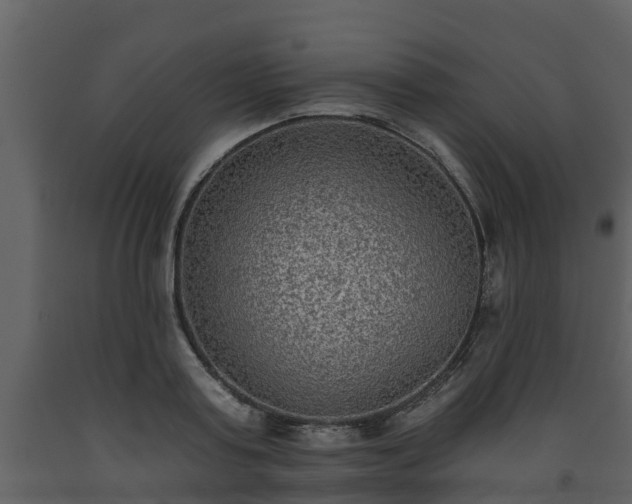 X0000093450795200710191101