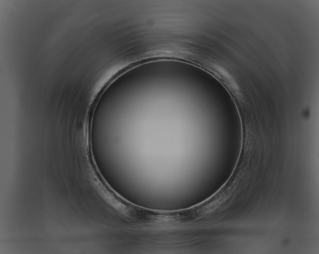 X0000093450796200710191101