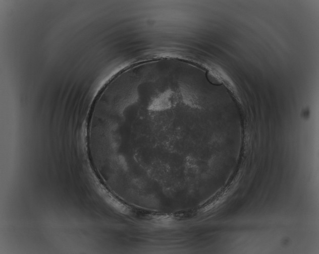 X0000093450798200710191101