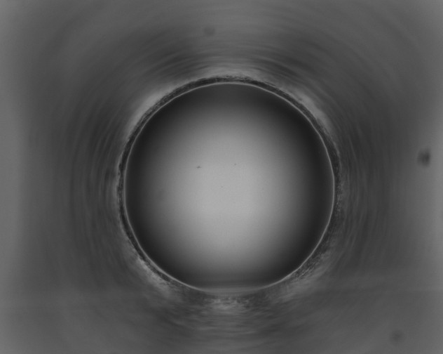 X0000093450799200710191101