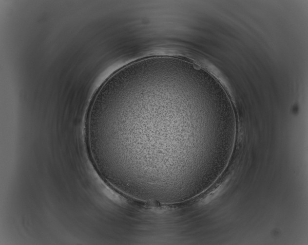 X0000093450803200710191101