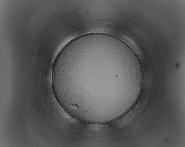 X0000093450804200710191101