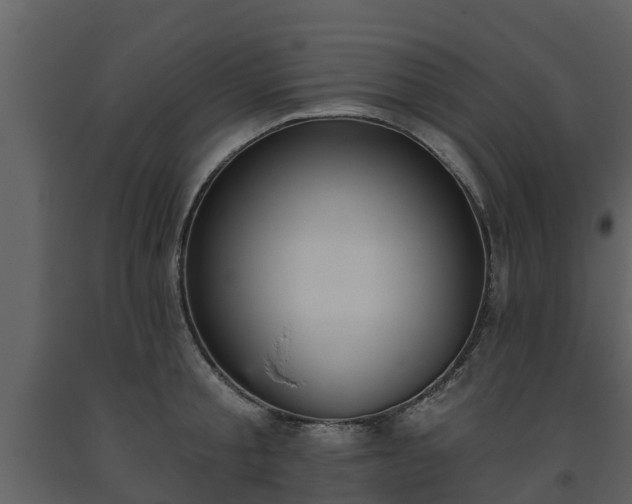 X0000093450805200710191101