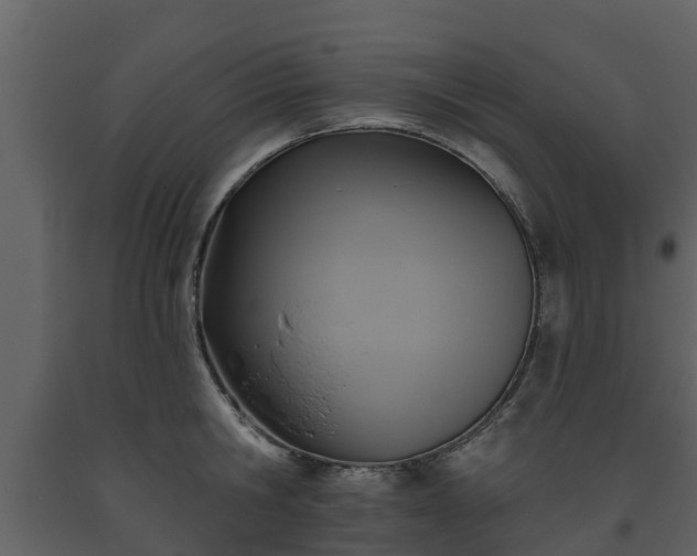 X0000093450806200710191101