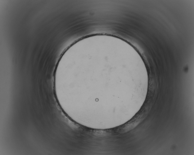 X0000093450807200710191101