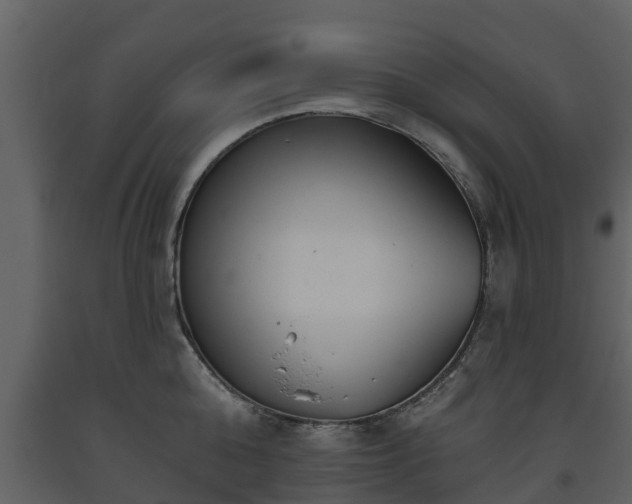 X0000093450808200710191101