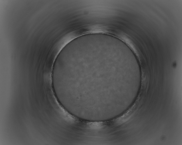 X0000093450810200710191101