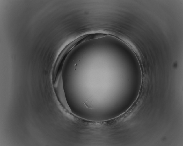 X0000093450813200710191101