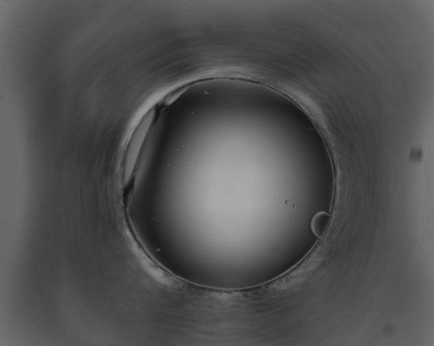 X0000093450816200710191101