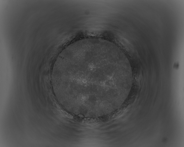 X0000093450817200710191100