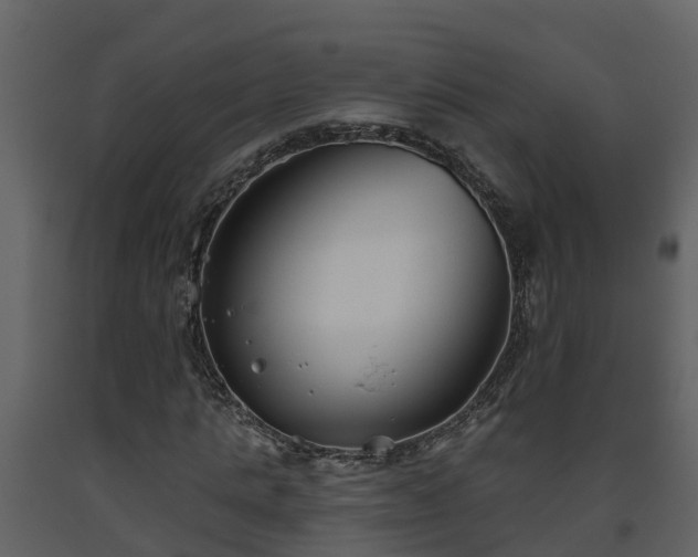 X0000093450821200710191100