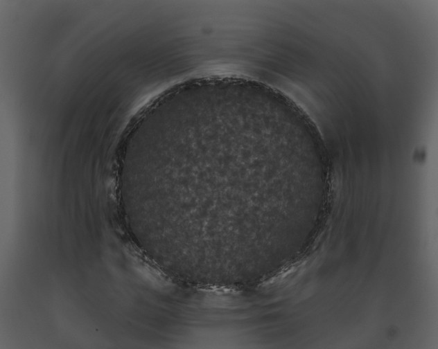 X0000093450823200710191100