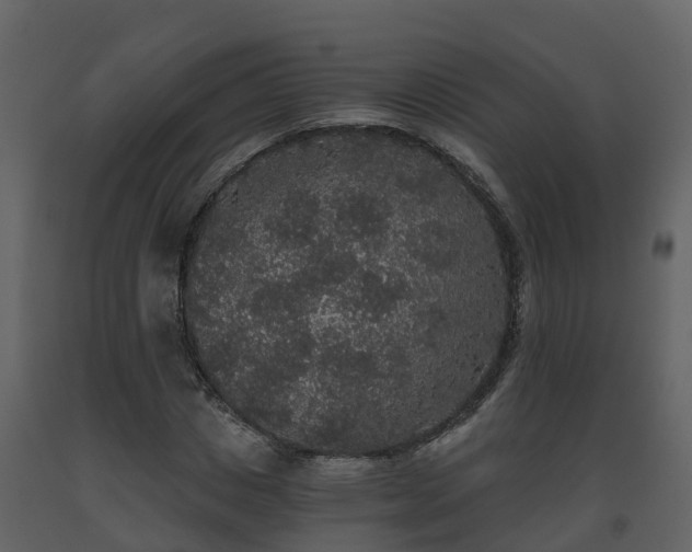 X0000093450825200710191100