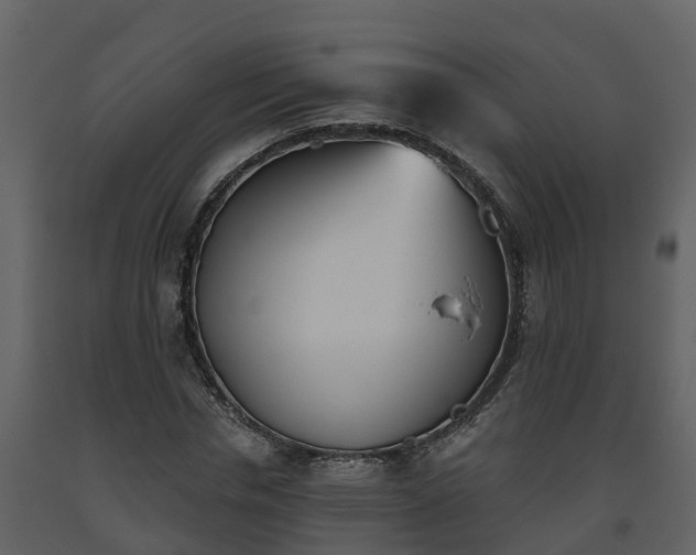 X0000093450826200710191100