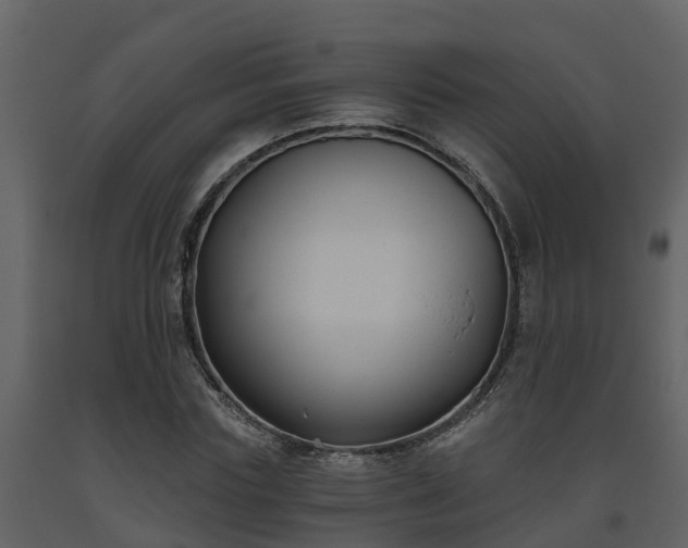 X0000093450827200710191100