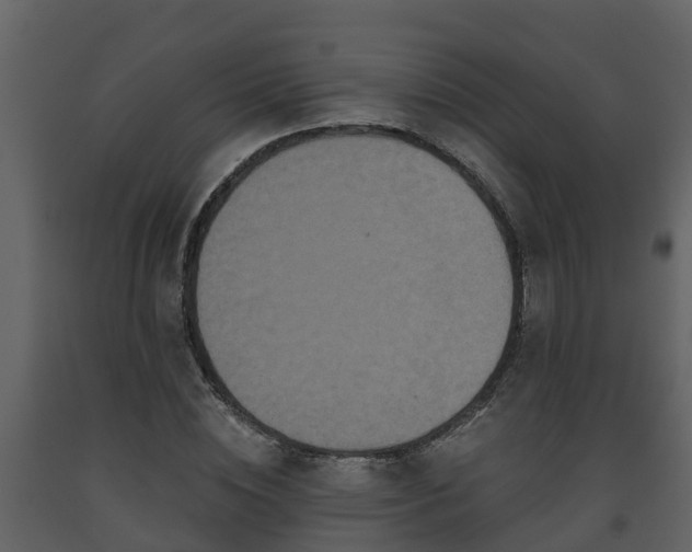 X0000093450828200710191100