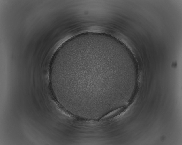 X0000093450829200710191100