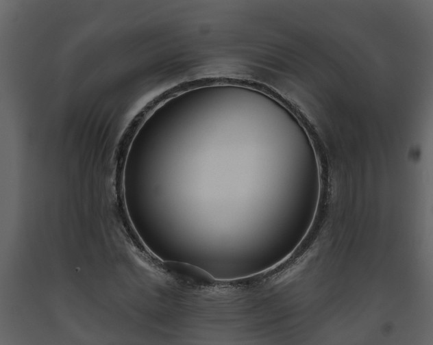 X0000093450830200710191100