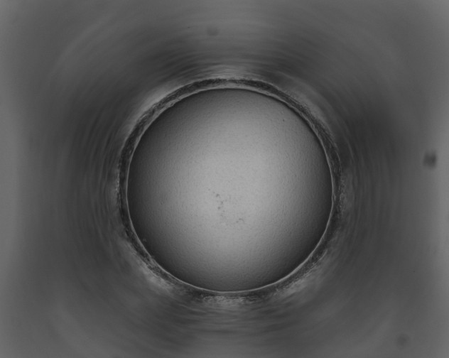 X0000093450831200710191101