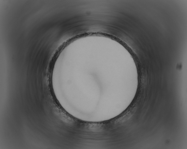 X0000093450832200710191101