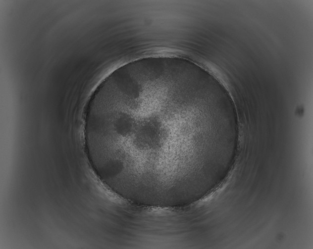 X0000093450835200710191101