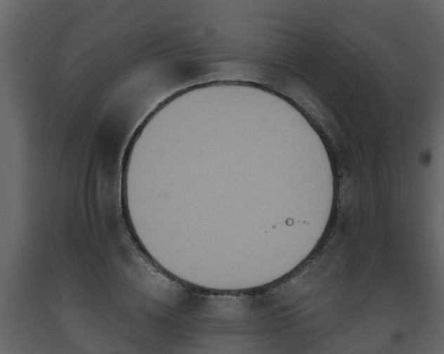 X0000093450836200710191101