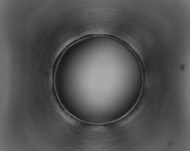 X0000093450837200710191101