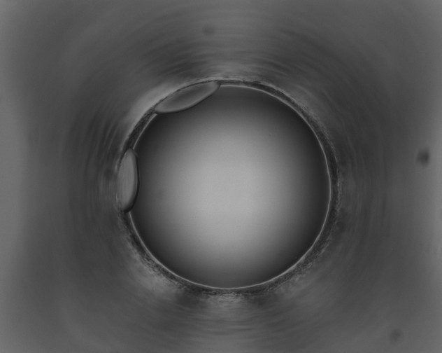 X0000093450838200710191101