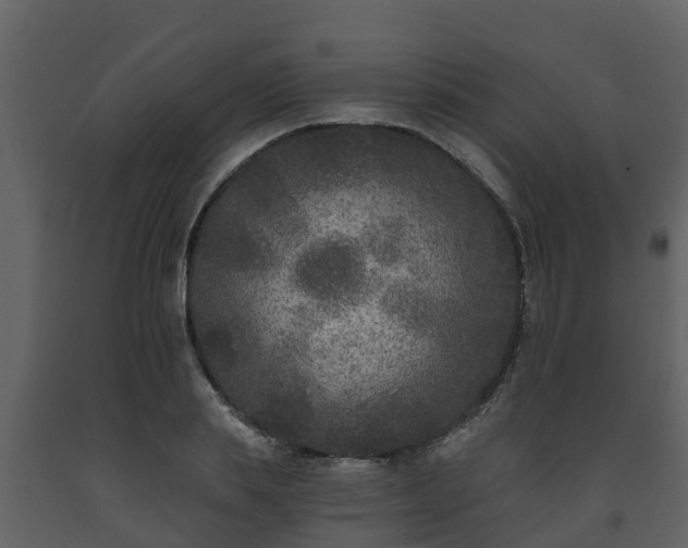 X0000093450839200710191101