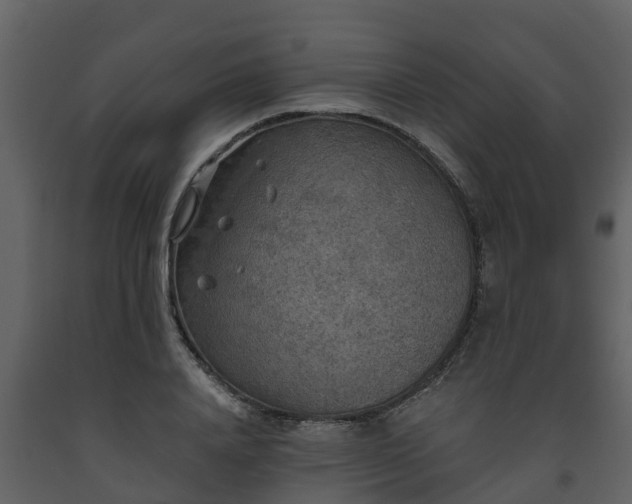 X0000093450840200710191101