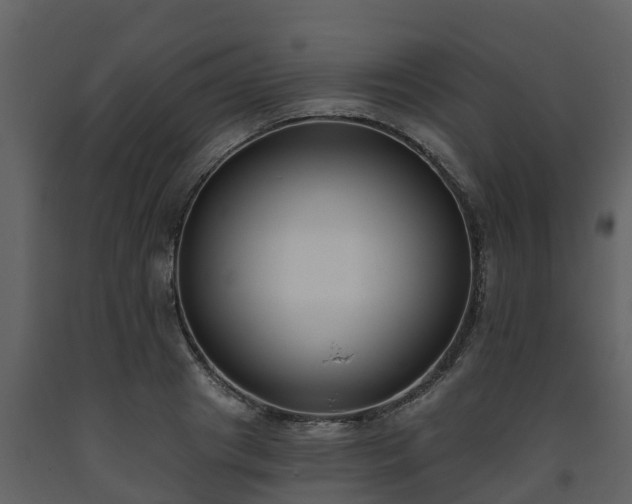 X0000093450841200710191101